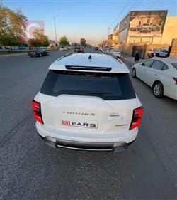 سانغ يونغ توريس